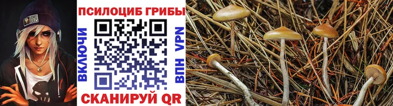 Псилоцибиновые грибы GOLDEN TEACHER  ОМГ ОМГ ТОР  Яровое 