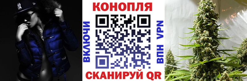 Канабис Amnesia  hydra tor  Яровое  где купить  